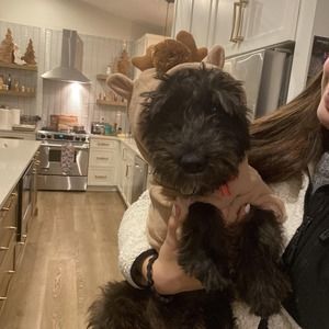 Meet your Posher, Christina